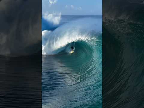 The locals of Teahupo’o doing what they do best &#128077;