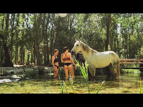 INCREIBLE TODOS nuestros deseos fueron concedidos! ...y un bosque encantado - VIAJE A CABALLO