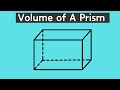 Volume and Area of Prisms