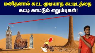 1.5Km வரை செல்லும் எறும்பு புத்துக்குக் கீழ இவ்ளோ விஷயங்கள் இருக்கா?  Inside the world of ant!
