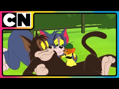 Tom and Jerry 😺🐭| The Squeaky Ball 🥎 Chaos! | #catandmouse | #cartoonforkids | @cnindia