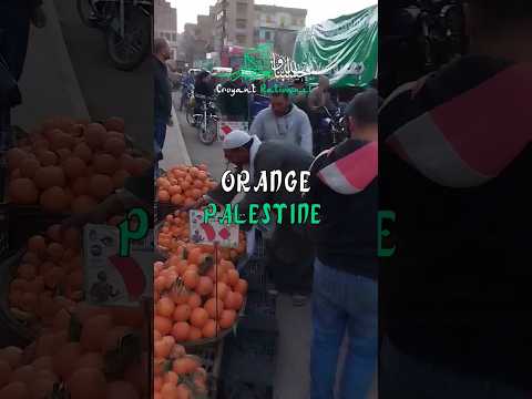 L'ÉGYPTIEN QUI LANCE DES ORANGES EST PARTI À LA MECQUE