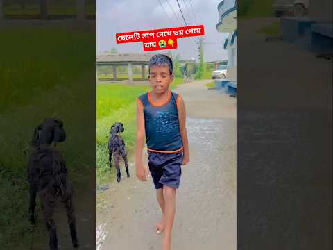 ওগো মা 😭 #sorts #ytshort #sort #নবীজী #নবিজীর #নবীজির #নবীজির_গজল #islamic #chanal #yt #ym #cartoon