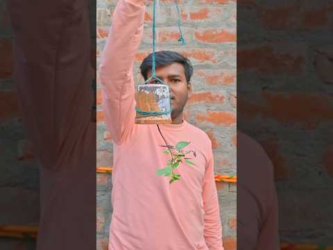 Kya hoga agar ham ek paudhe ko ulta ugaye #experiment #shorts #reverseplant