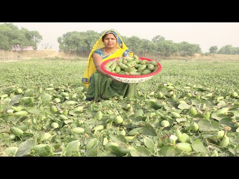 परवल आलू की टेस्टी सब्जी बनाने का यह तरीका देखकर आप कहेंगे पहले क्यों नहीं पता था Parwal Aloo Sabji