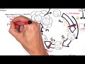 Cell Cycle and Cancer Mechanisms