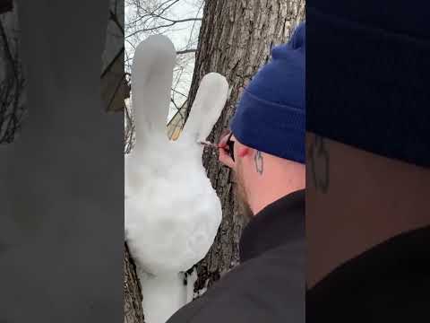 uespiiiii.1115 funny video 😂😂😂 | Mr Uekusa Best TikTok 2023 December #shorts