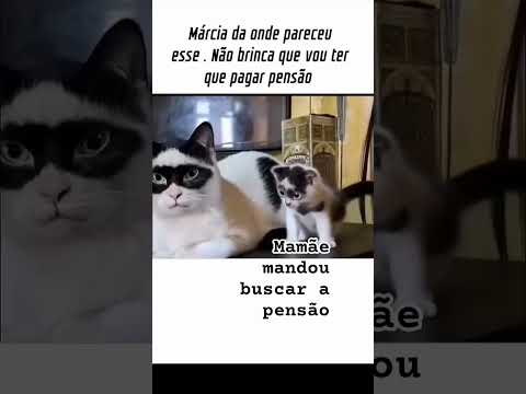 Fred se deu mal kkkkkk #animal #memes #humor #pets #cat