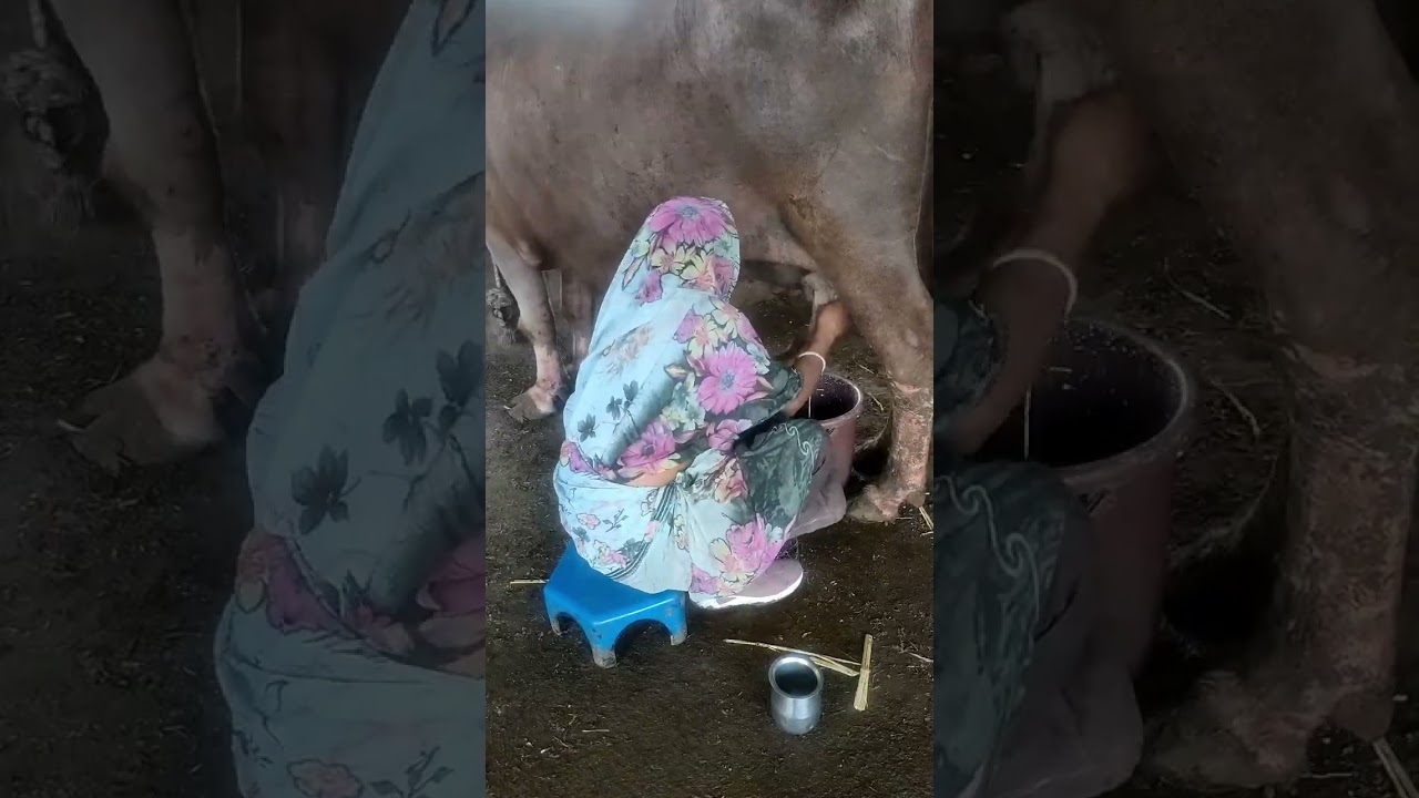 Order Video