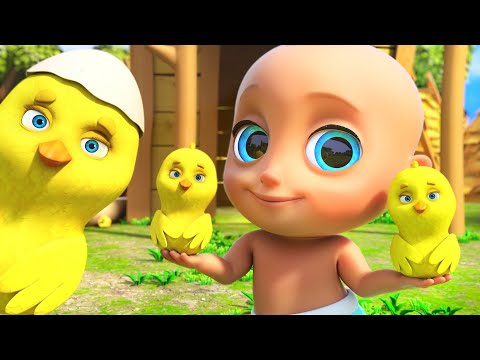 OS PINTINHOS DIZEM + Sambalelê - Músicas Infantis Divertidas - LooLoo Kids Português