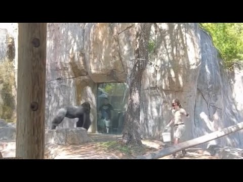 😳😳😳 #documentary #animals