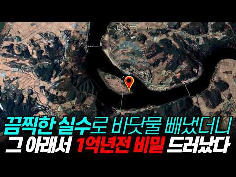 경기도 시흥에 실수로 만든 방조제, 그 아래서 1억년전 비밀 쏟아졌다 / 디씨멘터리