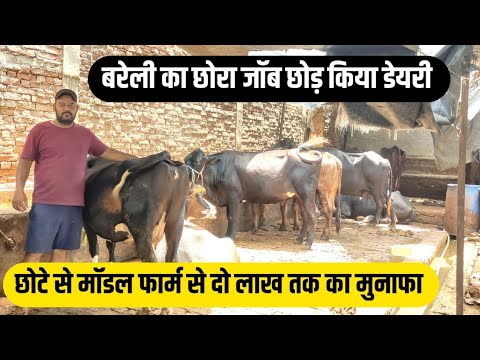 57 हजार की नौकरी छोड़ शुरू किए डेयरी /dairy farm bareilly up/small dairy farm/dairy farming India