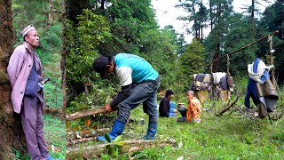 shepherd life of Nepal || Himalayan sheep herders in Nepal || Rural Nepal Quest @ruralnepalquest