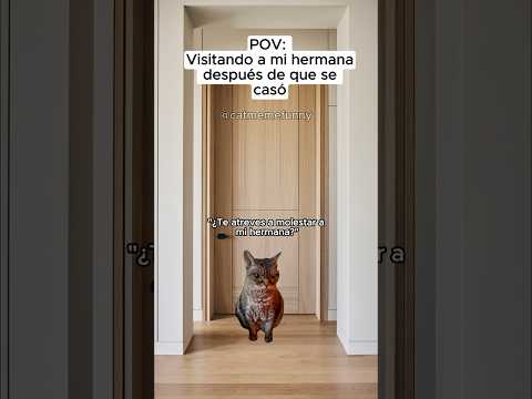 CAT MEME FUNNY 😹 Visitando a mi hermana después de que se casó  #shorts #meme #cat