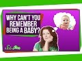 Understanding Childhood Amnesia