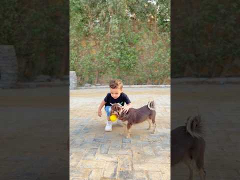 الكلب احن عليا منك الرحمه والرافه با الحيوان 😘