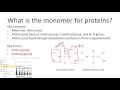Amino Acids and Protein Structure
