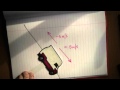 Understanding Speed, Velocity, and Acceleration