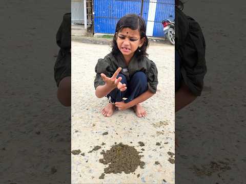 Sabse hoseyaar lakdi Dekho Jaldi 🤣 #shorts #funnyshorts #tiktokvideo #ytshorts #shortsreels