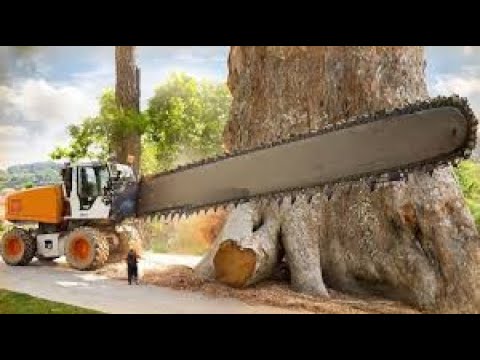 Dangerous Powerful Biggest Chainsaw Cutting Tree Machines, Amazing Tree Felling Compilation 2024