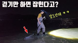 대물 꽃게들이 이렇게 말도안되게 잡힌다니 ㄷㄷ 넘 행복합니다 ㅎㅎ