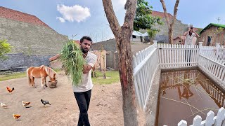 Barish Ki Wja Se Sb Animals Preshan😭Chara Milna Mushkil Hogea💔
