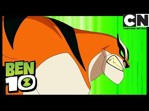 Ben 10 Français | Chat va mal - Nouvel Alien | Cartoon Network