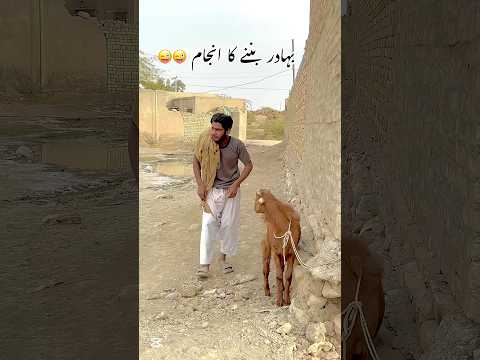 Bahadr Ban Raha Tha😂#funny #comedyvideos #comedy #funnyvideos #trending