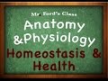 Exploring Homeostasis and Feedback Mechanisms in Anatomy