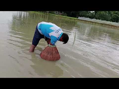 Real Amazing Big Sheat Fish Hunting | Best Polo Fishing #5minutecrafts