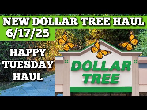 NEW DOLLAR TREE HAUL 6/17/25
