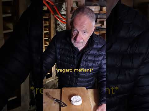 Je fais goûter un fromage vegan à mon père