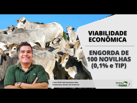 Viabilidade econômica engorda de 100 novilhas  (0,1%  e TIP)