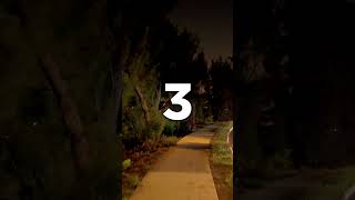 Top 5 Videos Too Scary to Watch