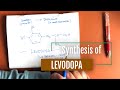 Understanding Esterification and Synthesis of Levodopa