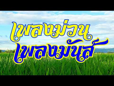 เพลงม่วน เพลงมันส์