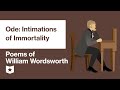 Wordsworth's Perspective on Childhood