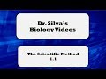 Scientific Method and Hypothesis Testing