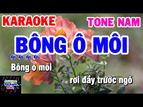 Karaoke Bông Ô Môi | Nhạc Sống Tone Nam Karaoke Thanh Hải