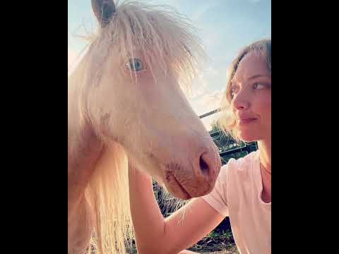 "Amanda Seyfried Trades Hollywood Glam for Farm Life – Inside Her Peaceful Upstate Retreat"