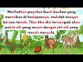 Kisah Monyet yang Dekil