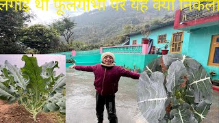 Mummy, Ke Saath hua Bahut Bada Dhokha😝🙏