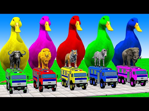 Long Slide Game With Cow Elephant Gorilla Hippopotamus Tiger - 3d Animal Game - Funny 3d Animals