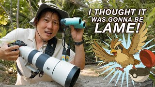 Why Bird Photography Hooks You Faster than You’d Expect