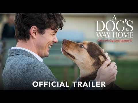 A DOG'S WAY HOME - Official Trailer (HD)