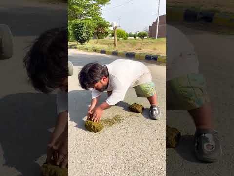 dirty gobar aur mini tractor ๐ wala