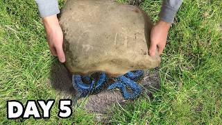 Rock Flipping Leads to Incredible Find!
