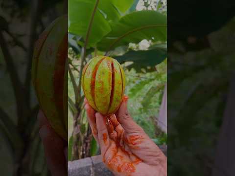 mango masala recipe | മാങ്ങ കുട്ടനെ മസാല അടിച്ചു|  some chilli and salt #hobbyspot tasty salt mango