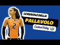 Regole e Fondamenti della Pallavolo